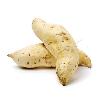 Batata Doce Branca